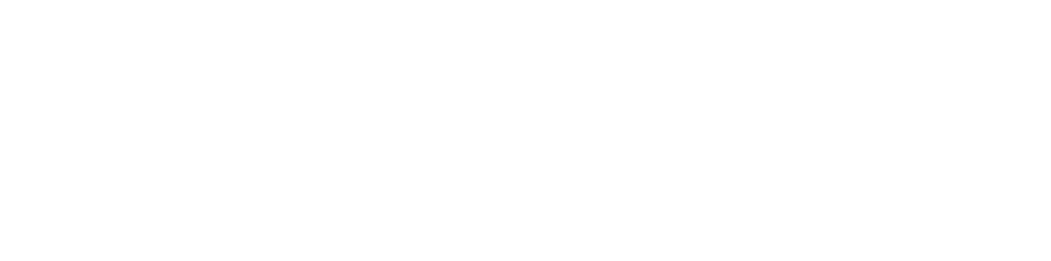 Primary Company Logo